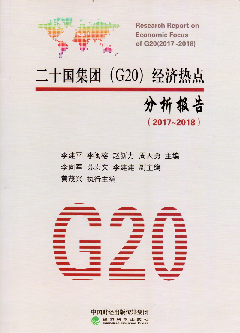 啊啊啊艹死我啊啊受不了了大几把视频二十国集团（G20）经济热点分析报告（2017-2018）