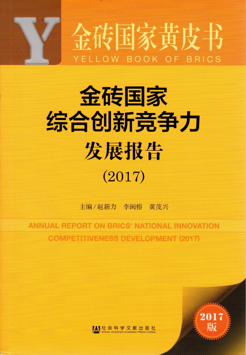 鸡巴视频亚洲金砖国家综合创新竞争力发展报告（2017）